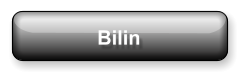 Bilin