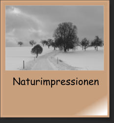 Naturimpressionen