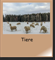 Tiere