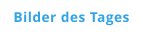 Bilder des Tages