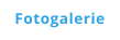 Fotogalerie