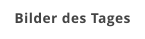 Bilder des Tages