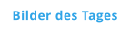 Bilder des Tages